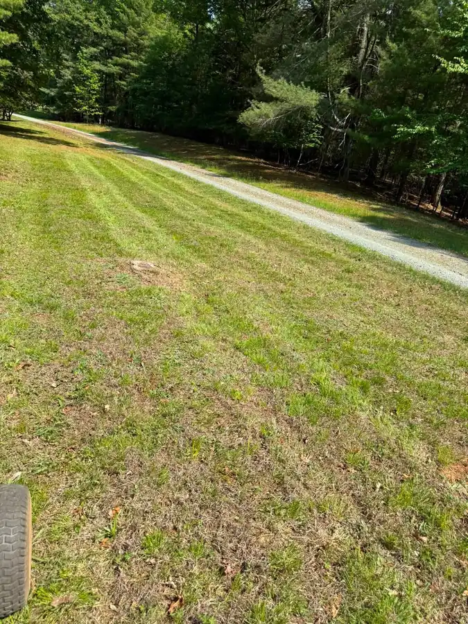OC Proscape backyard lawn maintenance