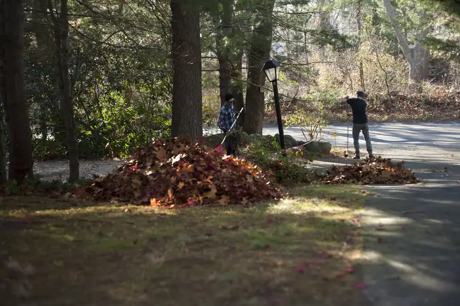 Seasonal clean-up and property clean-out