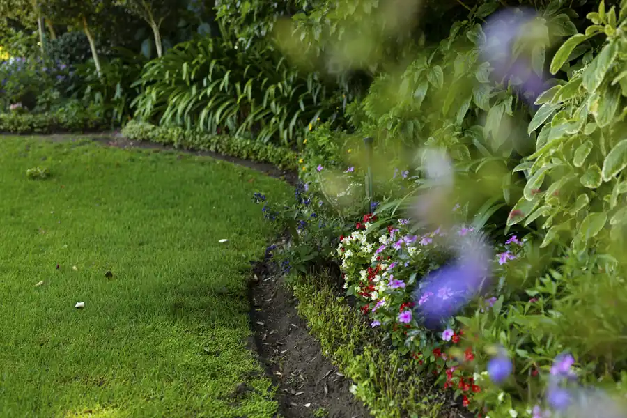 Flower bed maintenance and weeding