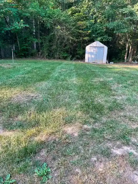 OC Proscape lawn care, country property Orange VA