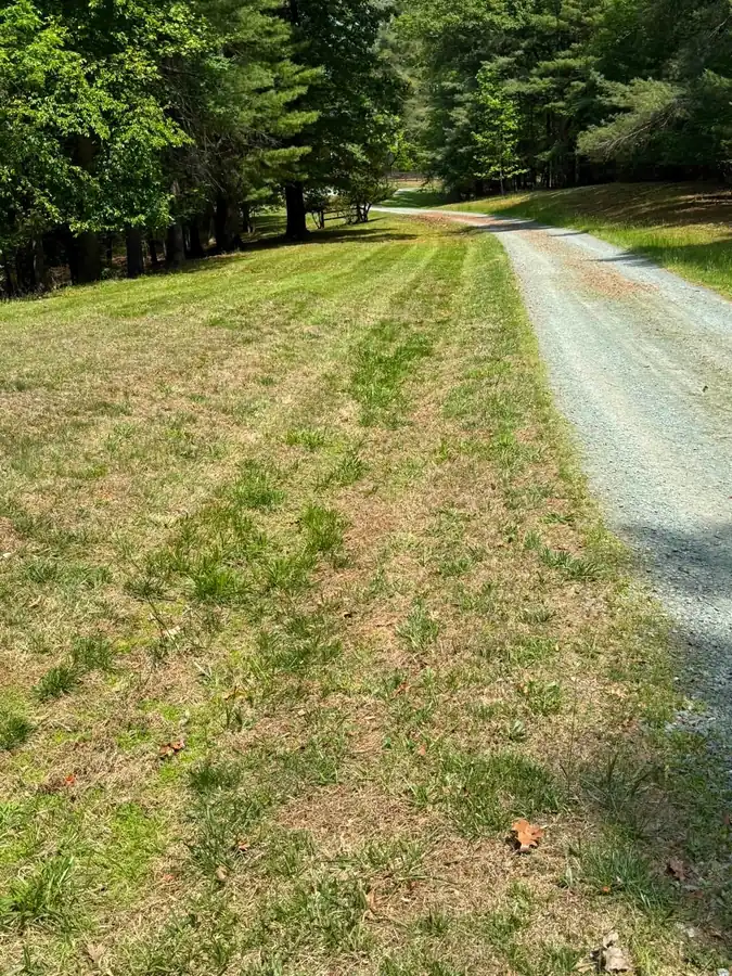 OC Proscape lawn mowing service